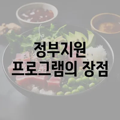 정부지원 프로그램의 장점