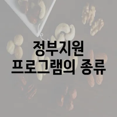 정부지원 프로그램의 종류