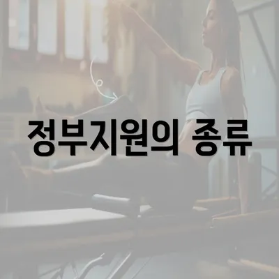 정부지원의 종류