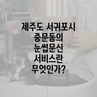 제주도 서귀포시 중문동의 눈썹문신 반영구 서비스 완벽 가이드