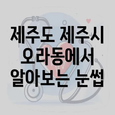 제주도 제주시 오라동에서 알아보는 눈썹