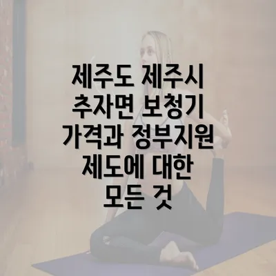 제주도 제주시 추자면 보청기 가격과 정부지원 제도에 대한 모든 것