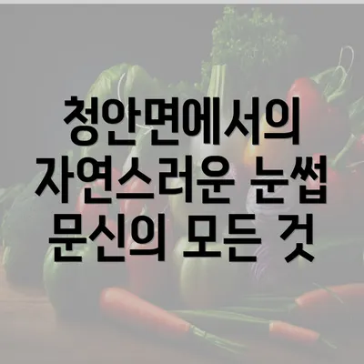 청안면에서의 자연스러운 눈썹 문신의 모든 것