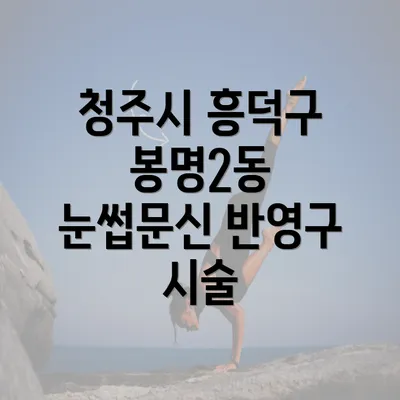 청주시 흥덕구 봉명2동 눈썹문신 반영구 시술