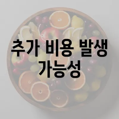 추가 비용 발생 가능성