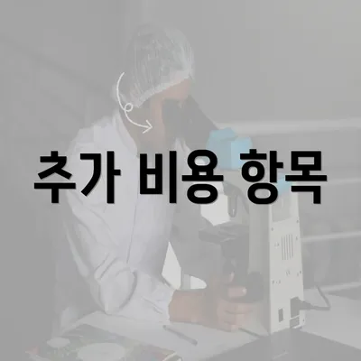 추가 비용 항목