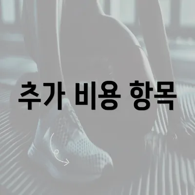 추가 비용 항목