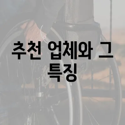 추천 업체와 그 특징