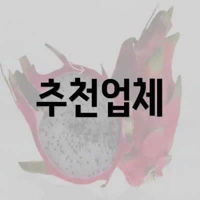 추천업체