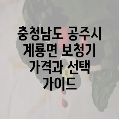 충청남도 공주시 계룡면 보청기 가격과 선택 가이드