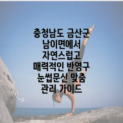 충청남도 금산군 남이면에서 자연스럽고 매력적인 반영구 눈썹문신 맞춤 관리 가이드