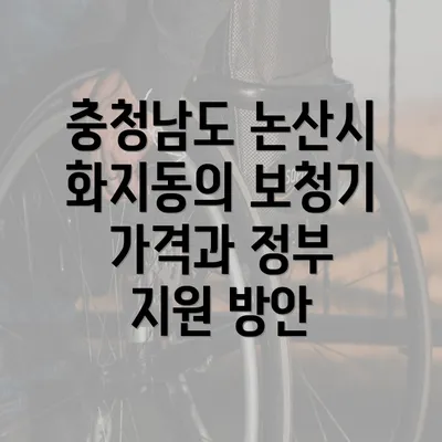 충청남도 논산시 화지동의 보청기 가격과 정부 지원 방안