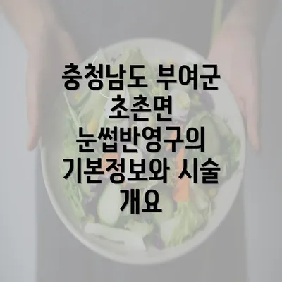 충청남도 부여군 초촌면 눈썹반영구의 기본정보와 시술 개요