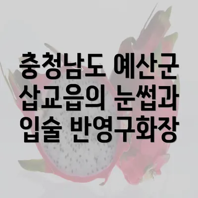 충청남도 예산군 삽교읍의 눈썹과 입술 반영구화장