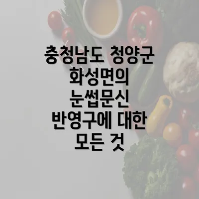 충청남도 청양군 화성면의 눈썹문신 반영구에 대한 모든 것