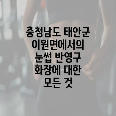 충청남도 태안군 이원면에서의 눈썹 반영구 화장에 대한 모든 것