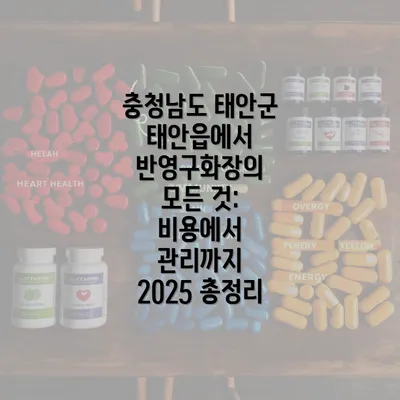 충청남도 태안군 태안읍에서 반영구화장의 모든 것: 비용에서 관리까지 2025 총정리