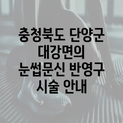 충청북도 단양군 대강면의 눈썹문신 반영구 시술 안내