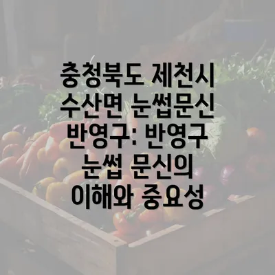 충청북도 제천시 수산면 눈썹문신 반영구: 반영구 눈썹 문신의 이해와 중요성