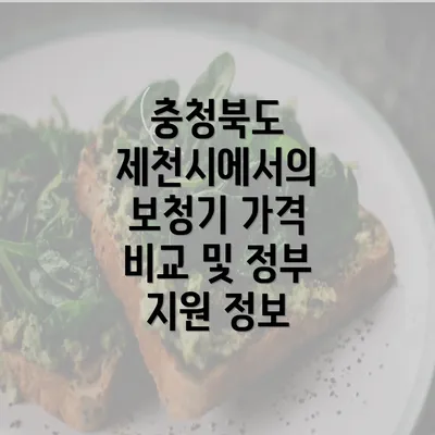 충청북도 제천시에서의 보청기 가격 비교 및 정부 지원 정보