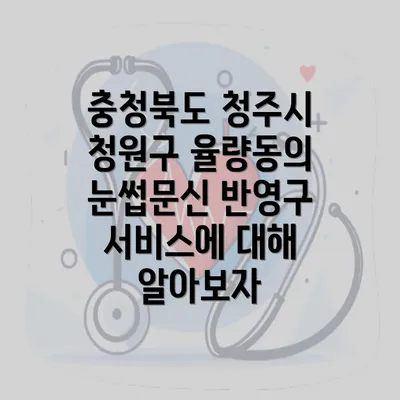 충청북도 청주시 청원구 율량동의 눈썹문신 반영구 서비스에 대해 알아보자