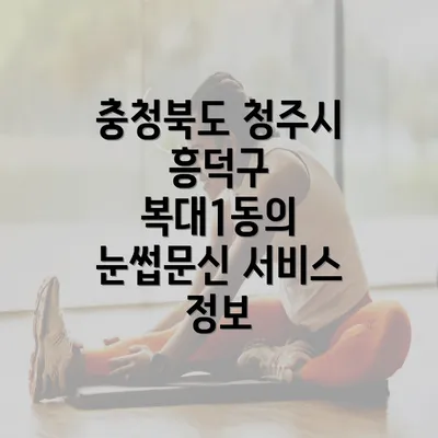 충청북도 청주시 흥덕구 복대1동의 눈썹문신 서비스 정보