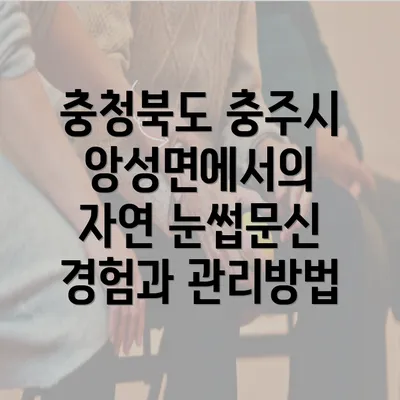 충청북도 충주시 앙성면에서의 자연 눈썹문신 경험과 관리방법