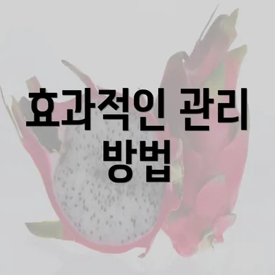 효과적인 관리 방법