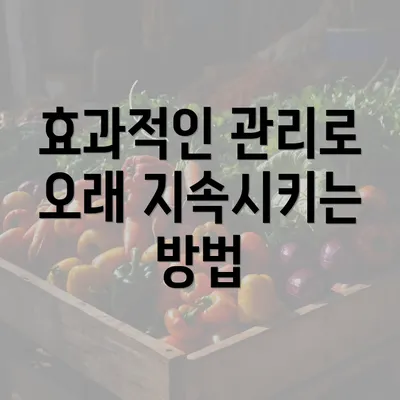 효과적인 관리로 오래 지속시키는 방법