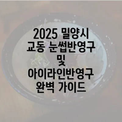 2025 밀양시 교동 눈썹반영구 및 아이라인반영구 완벽 가이드