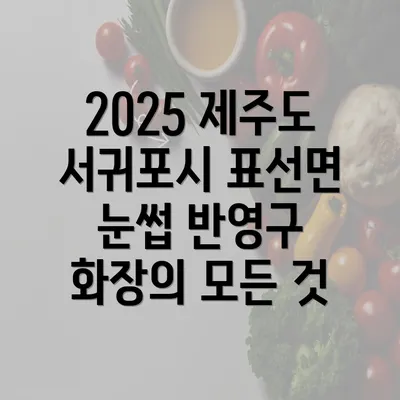 2025 제주도 서귀포시 표선면 눈썹 반영구 화장의 모든 것