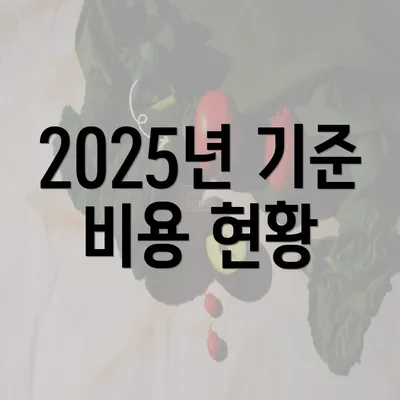 2025년 기준 비용 현황