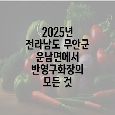 2025년 전라남도 무안군 운남면에서 반영구화장의 모든 것