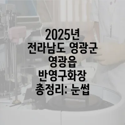 2025년 전라남도 영광군 영광읍 반영구화장 총정리: 눈썹