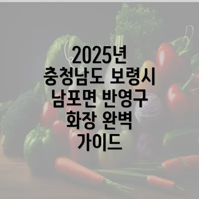 2025년 충청남도 보령시 남포면 반영구 화장 완벽 가이드