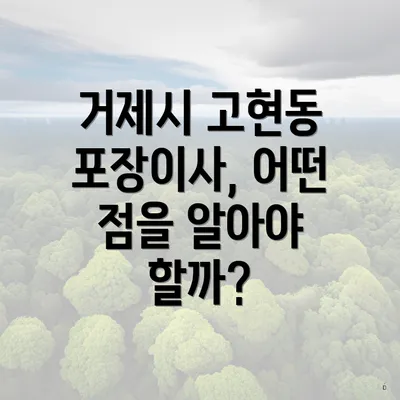 거제시 고현동 포장이사, 어떤 점을 알아야 할까?