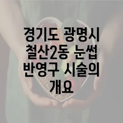 경기도 광명시 철산2동 눈썹 반영구 시술의 개요