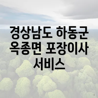 경상남도 하동군 옥종면 포장이사 서비스