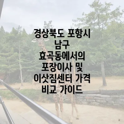 경상북도 포항시 남구 효곡동에서의 포장이사 및 이삿짐센터 가격 비교 가이드