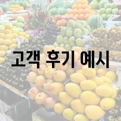 고객 후기 예시