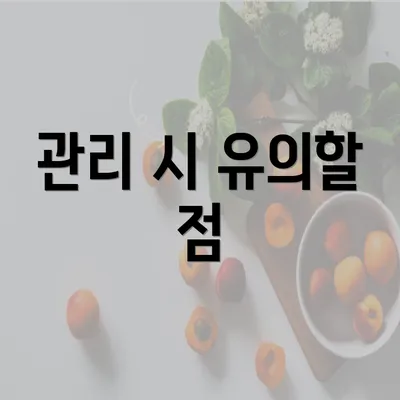 관리 시 유의할 점