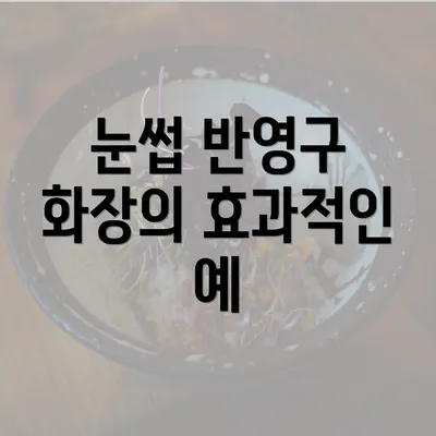 눈썹 반영구 화장의 효과적인 예