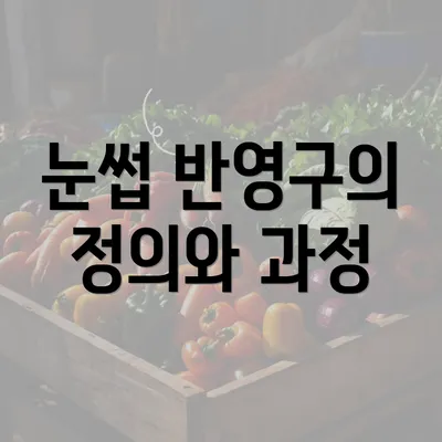 눈썹 반영구의 정의와 과정