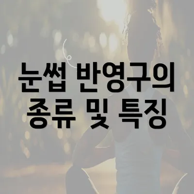 눈썹 반영구의 종류 및 특징