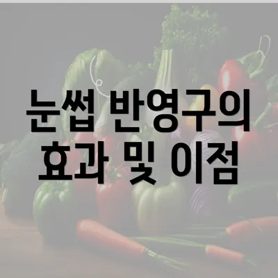 눈썹 반영구의 효과 및 이점