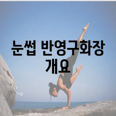 눈썹 반영구화장 개요