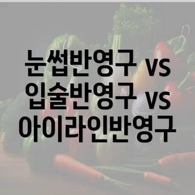 눈썹반영구 vs 입술반영구 vs 아이라인반영구