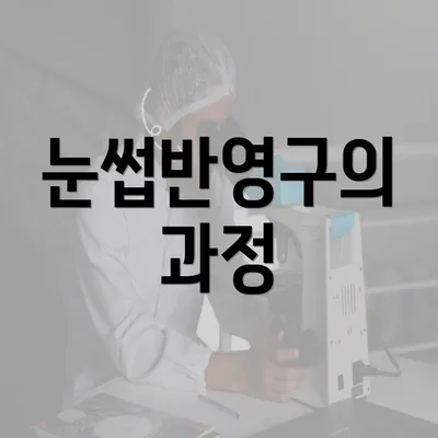 눈썹반영구의 과정