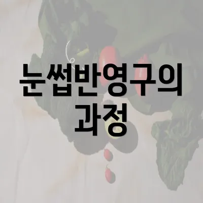 눈썹반영구의 과정