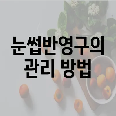 눈썹반영구의 관리 방법